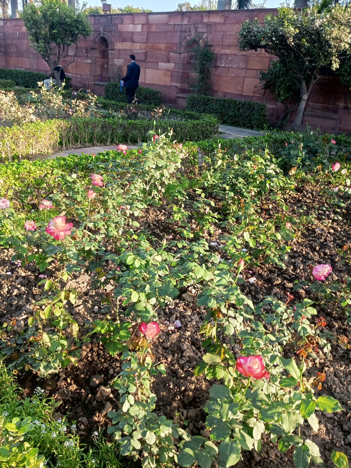 Colors of Nature at Amrit Udyan