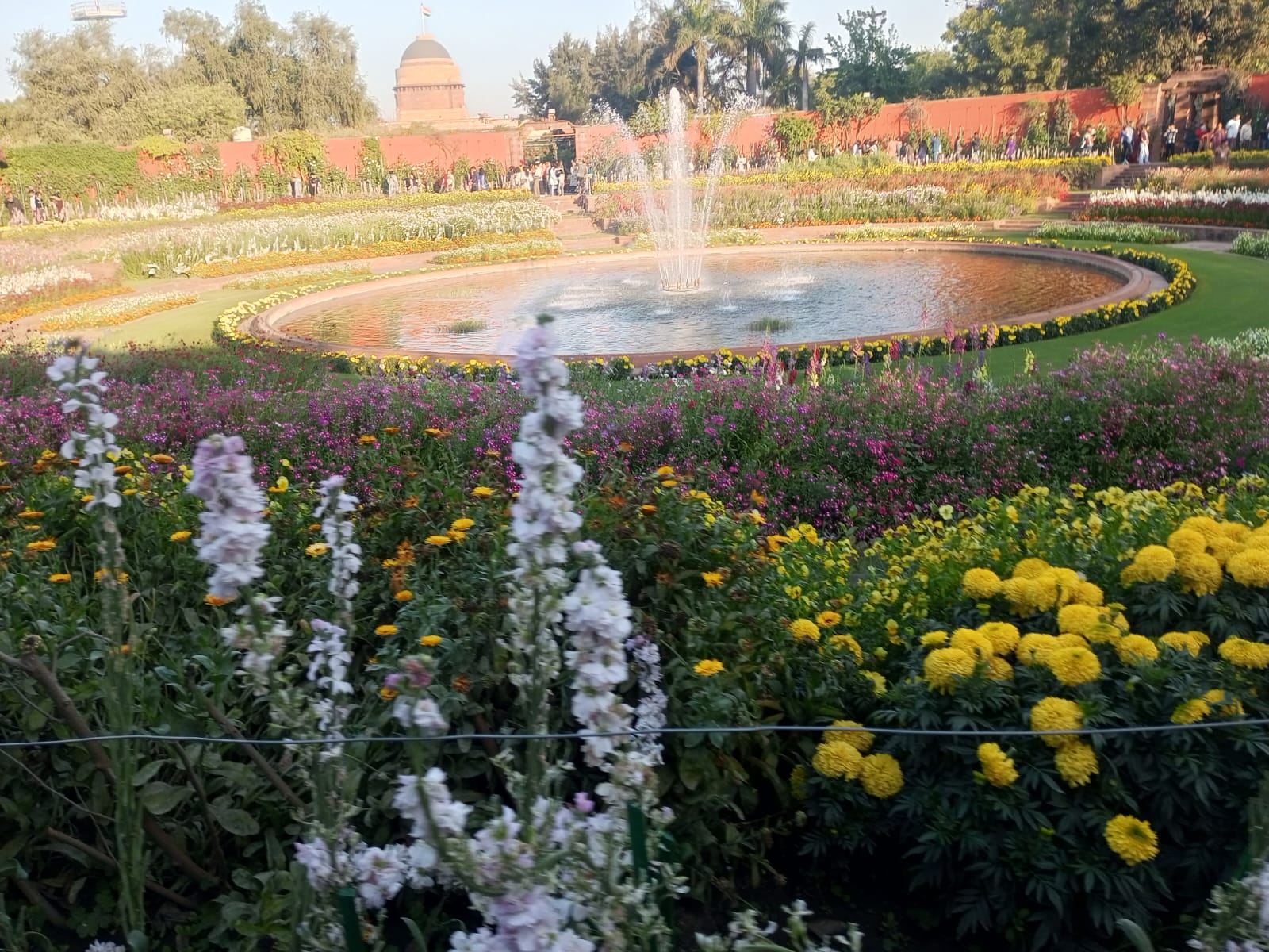 Beauty in Every Bloom